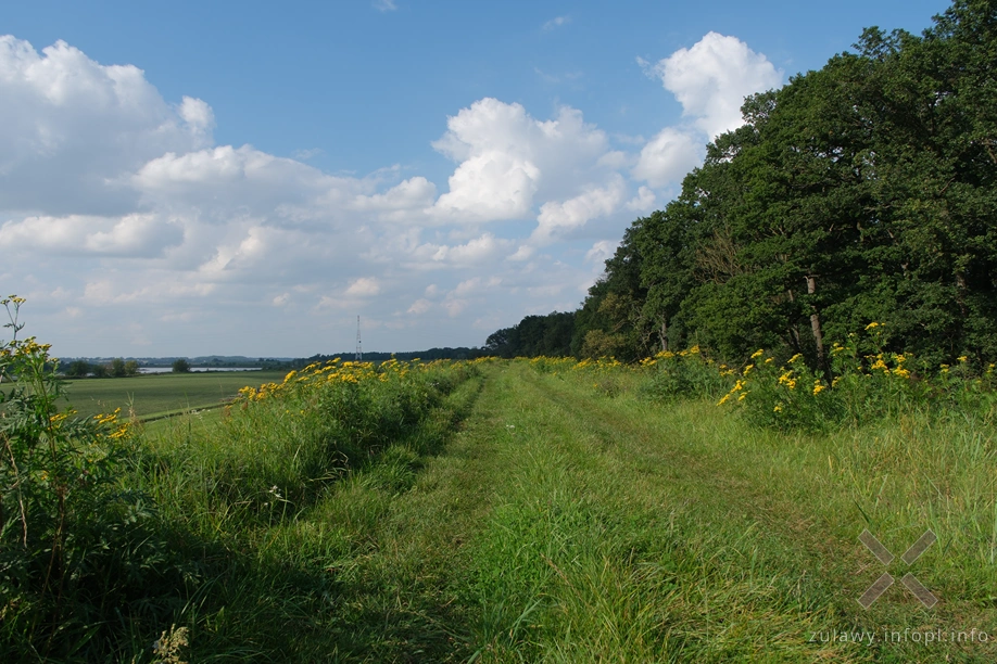 W Dolinie Kwidzyńskiej W Dolinie Kwidzyńskiej