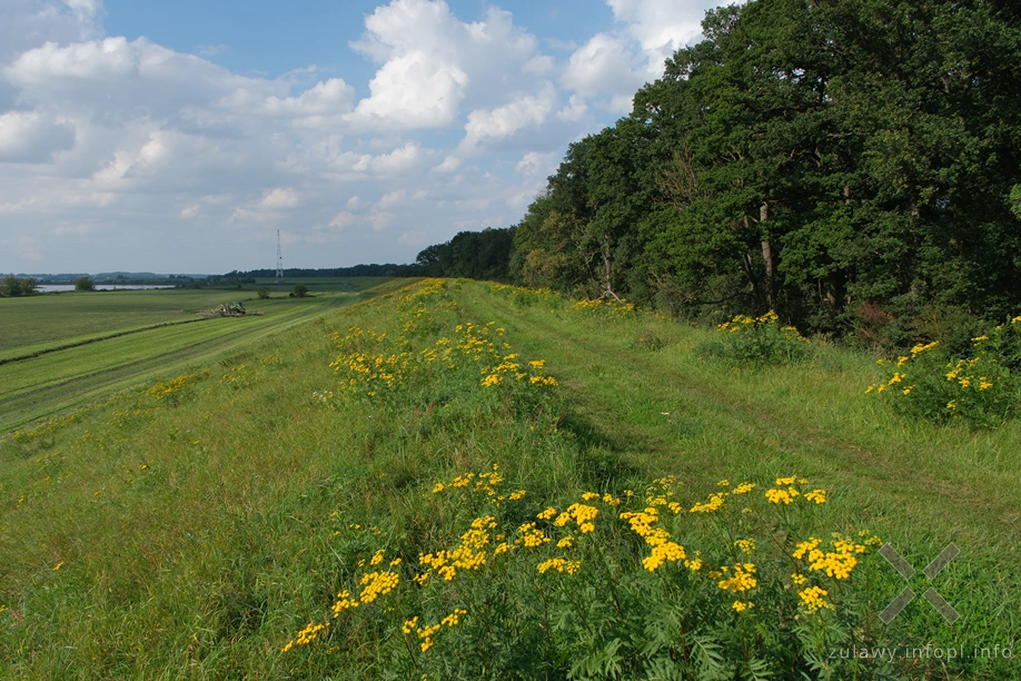 W Dolinie Kwidzyńskiej W Dolinie Kwidzyńskiej