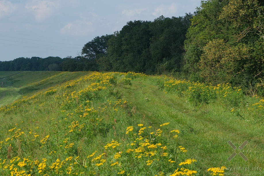 W Dolinie Kwidzyńskiej W Dolinie Kwidzyńskiej