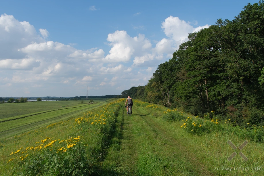 W Dolinie Kwidzyńskiej W Dolinie Kwidzyńskiej
