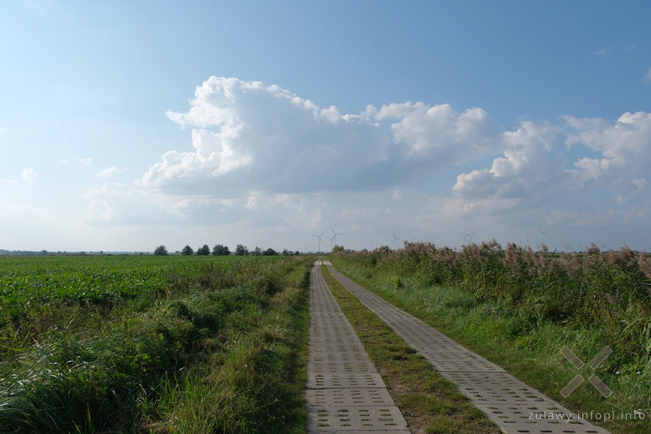 Żuławy Wiślane Żuławy Wiślane