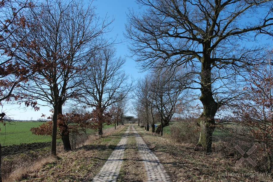 Żuławy