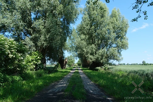 Żuławy w trzech pejzażach