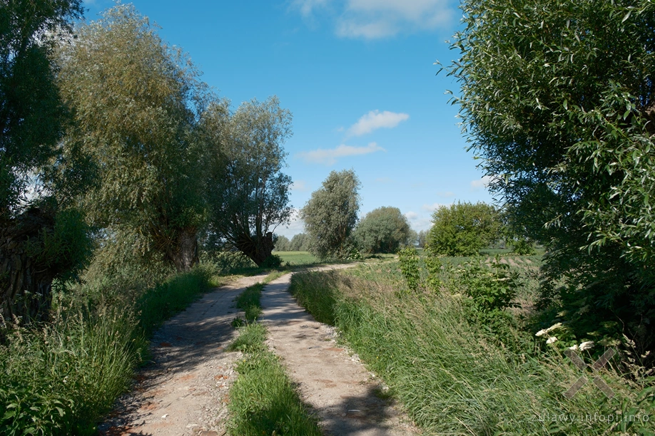 Żuławy