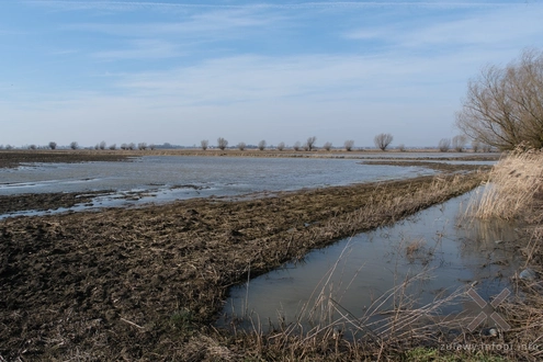 14.03.2026. Na groblach