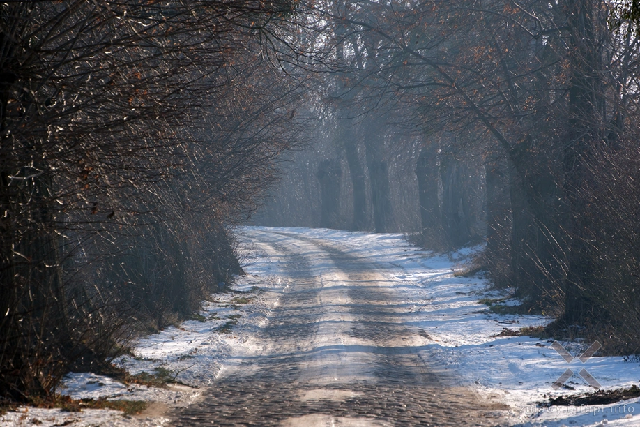 Pojezierze Dzierzgońsko-Morąskie
