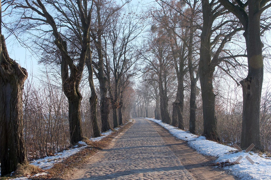 Pojezierze Dzierzgońsko-Morąskie