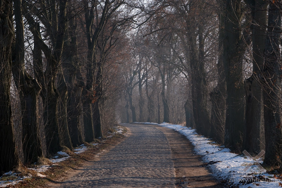 Pojezierze Dzierzgońsko-Morąskie