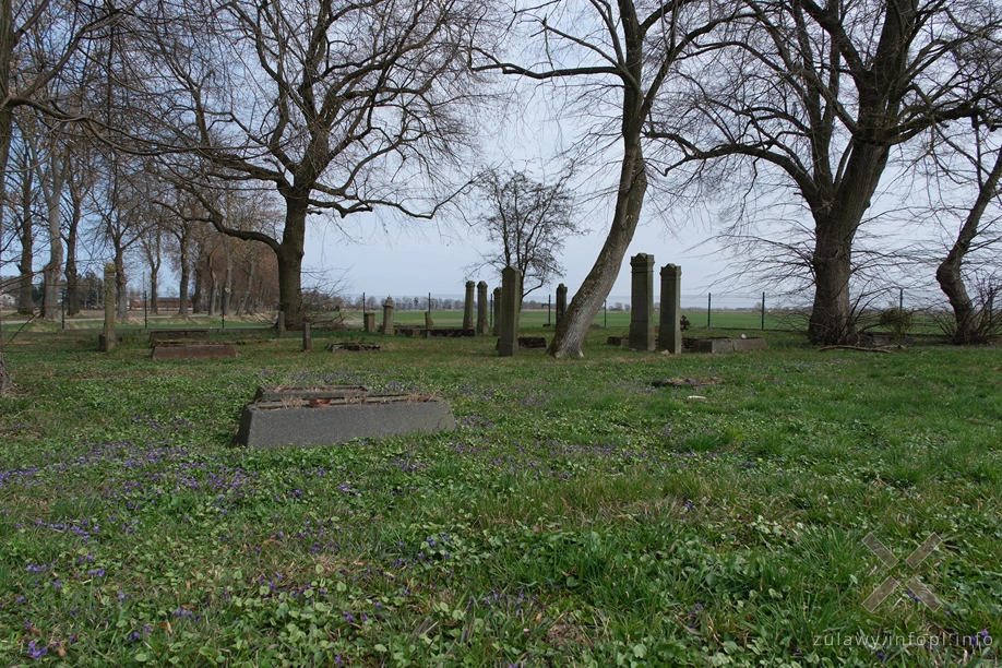 Szaleniec – cmentarz mennonicki